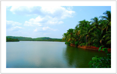 Glance of Kuttandu